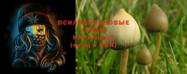 прущие крисы Волоколамск