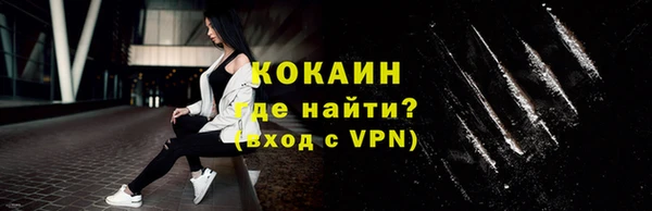 гашик Верея