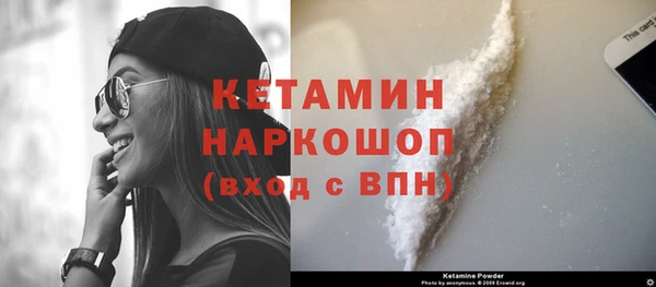 гашик Верея