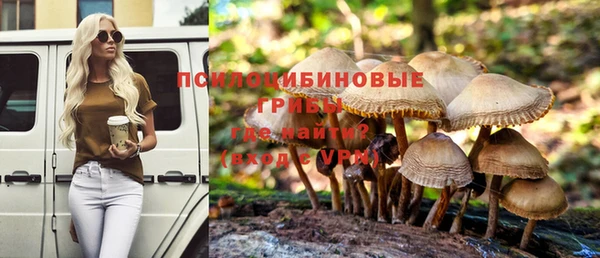 индика Елабуга