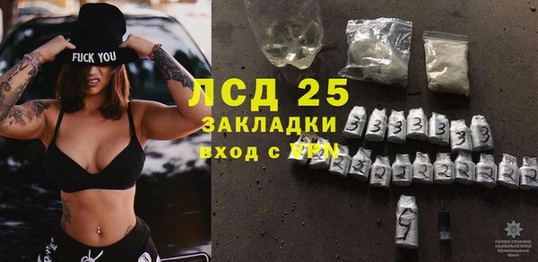 гашик Верея
