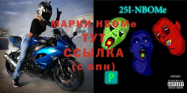 гашик Верея