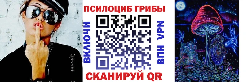 продажа наркотиков  Луховицы  Галлюциногенные грибы MAGIC MUSHROOMS 
